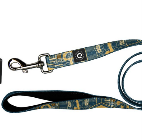 Nylon Dog Leash